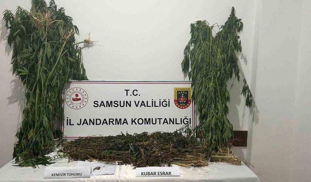 Samsun’da 6 kilo 550 gram kubar esrar ele geçirildi