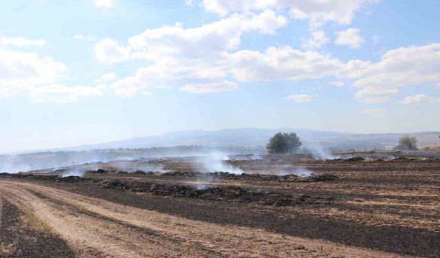 Samsun’da anız yangını: 150 dekar alan zarar gördü