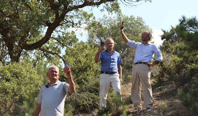 Yangını zamanında itfaiyeye haber veremeyince hasat ettiği ürünler kül oldu