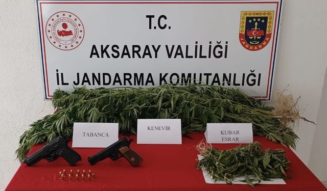 Yasa dışı kenevir üretimine jandarma darbesi