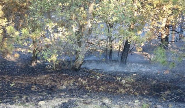 Yozgat’ta orman yangınına ilişkin gözaltına alınan 2 kişi serbest bırakıldı