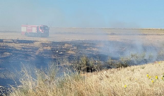 Alaca'da peş peşe yaşanan anız yangınları itfaiyeyi alarm durumuna geçirdi