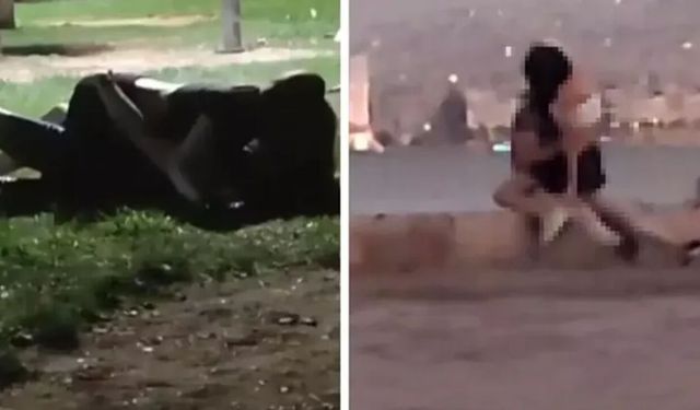 Sokak ortasında skandal! İzmir, İstanbul, Kocaeli ve Zonguldak'ta sokak ortasında cinsel ilişki görüntüleri
