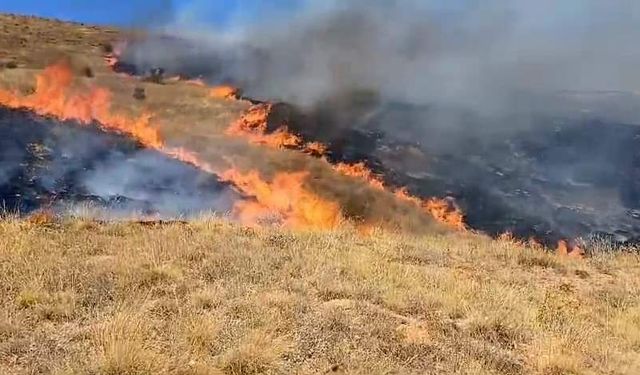 Yine anız yangını, 2 bin dönüm arazi yandı