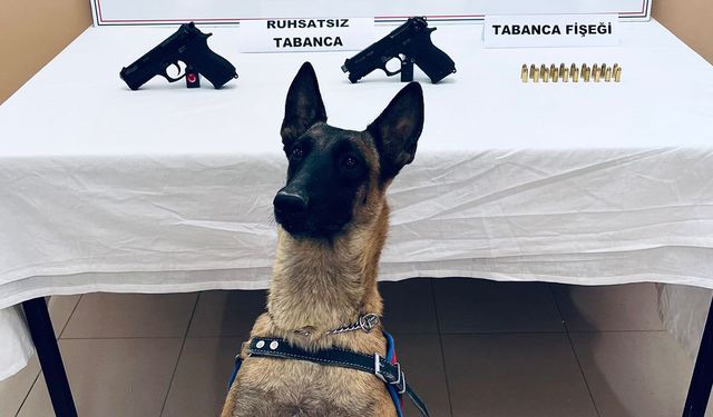 Çorum'da Arama Köpeği Arşiv sayesinde 2 adet tabanca ele geçirildi