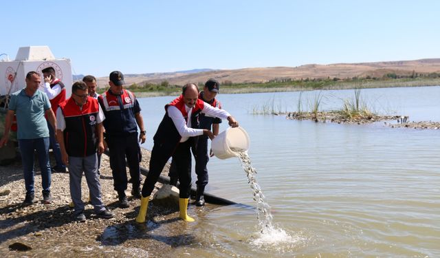 Çorum'da Balık avcılığına yasak getirildi