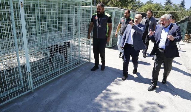 Vali Dağlı, Çorum'da sokak hayvanları için yapılan çalışmaları yerinde inceledi