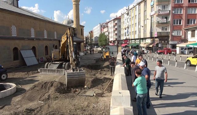 Çorum'da ağaç katliamı! Yüzlerce yıllık ağaçlar neden kesildi?