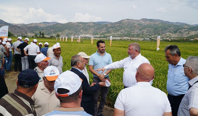 Osmancık Pirinci için yeni tohum çalışmaları: Başkan Gelgör ve Dr. Sürek'ten ortak adım