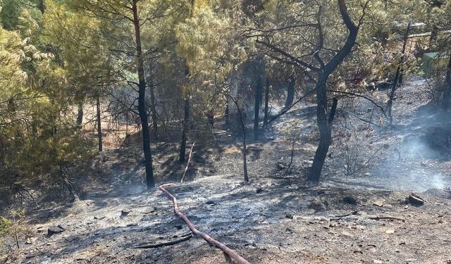 Amasya'da çıkan orman yangını söndürüldü