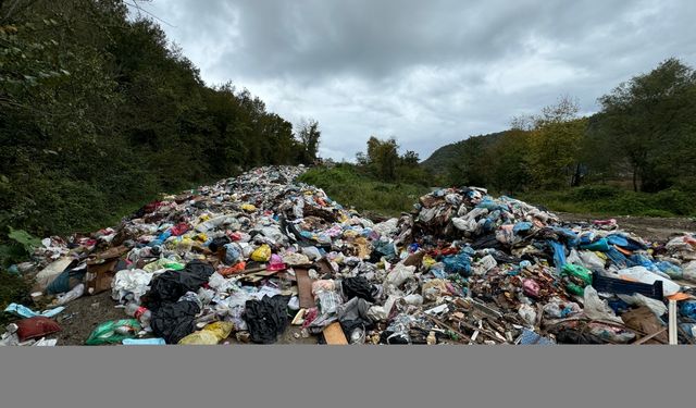 Bartın'da vahşi depolama alanının dolması nedeniyle çöplerin yola dökülmesine inceleme