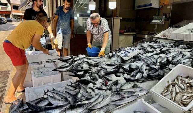 Bol çıkan palamut hem balıkçının hem tüketicinin yüzünü güldürüyor