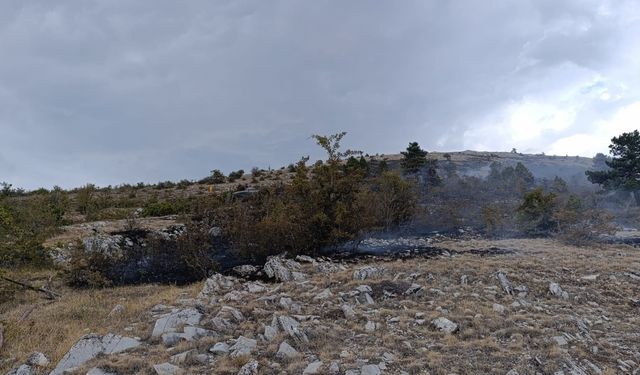 Bolu'da çıkan örtü yangını söndürüldü