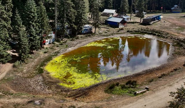 Düzce'nin yaylaları mevsimsel kuraklıktan etkilendi