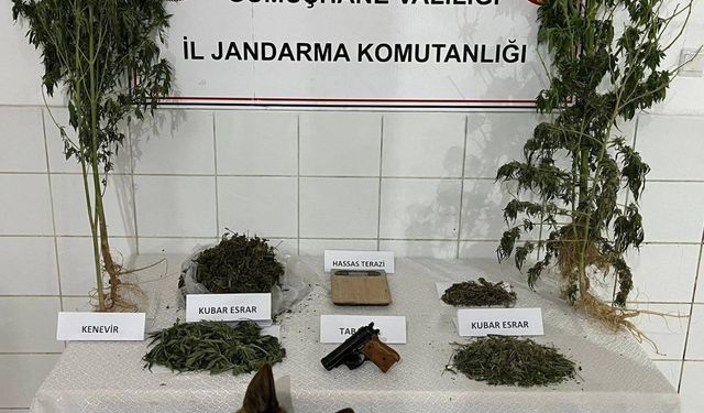 Gümüşhane'de uyuşturucu operasyonunda yakalanan bir kişi tutuklandı