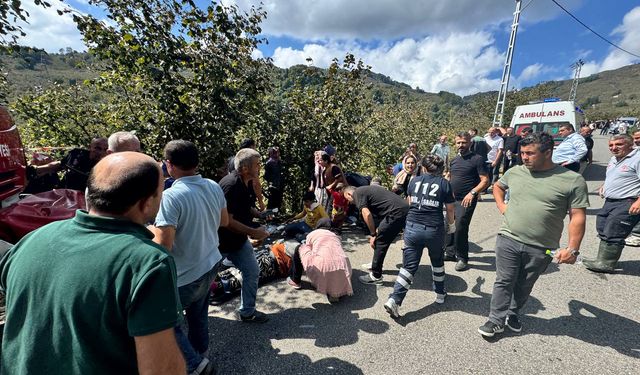 GÜNCELLEME 2 - Düzce'de şarampole devrilen minibüsteki 24 tarım işçisi yaralandı