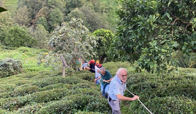 Rize'de teli kopan ilkel teleferikten çay bahçesine atlayan kadın yaralandı