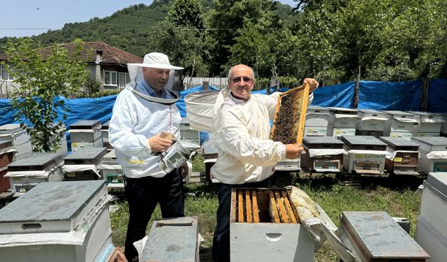 Salıpazarı kestane balını tatmak isteyenler siparişi hasat öncesinde veriyor