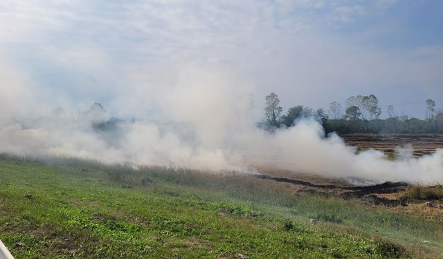 Samsun'da anız yangını sürücülere zor anlar yaşattı