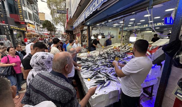 Samsun'da hamsinin kilogramı 200, palamudun tanesi 50 liradan satılıyor