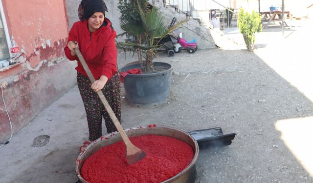 Samsun'da kadınlar mevsiminde domatesi salça yaparak değerlendiriyor