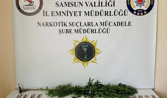 Samsun'da narkotik denetimlerinde 28 şüpheli yakalandı