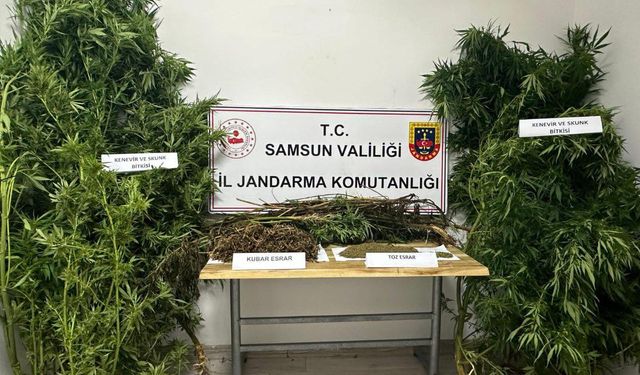 Samsun'da uyuşturucu operasyonunda 2 şüpheli yakalandı