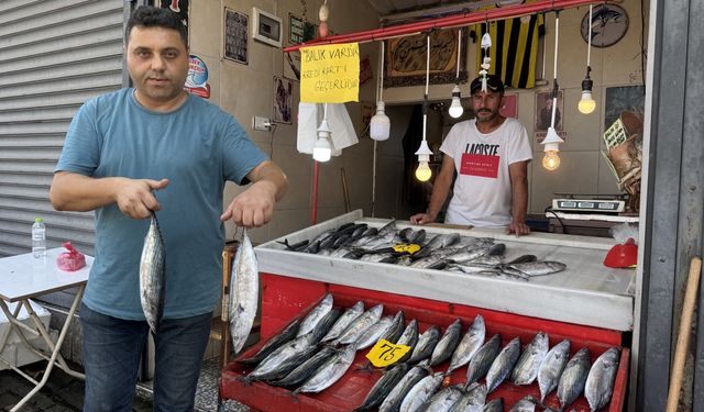 Zonguldak'ta deniz av sezonu palamut bereketiyle başladı