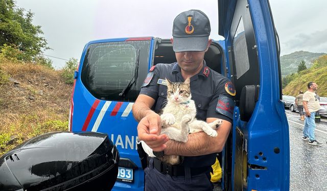 Zonguldak'ta otobüsle kamyonun çarpıştığı kazada 2 kişi öldü, 23 kişi yaralandı