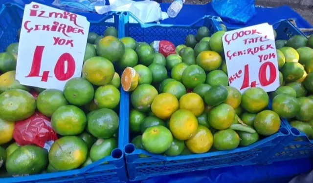 Mandalinalar Bursa pazarlarında yerini aldı