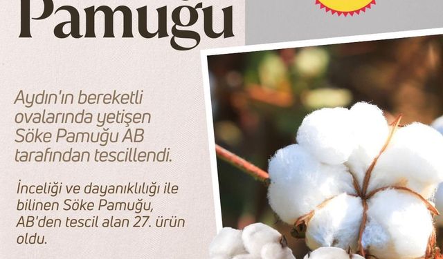 Bakan Yumaklı: "AB’den coğrafi işaret tescili alan Söke Pamuğu’yla tescilli ürün sayımız 27’ye yükseldi"