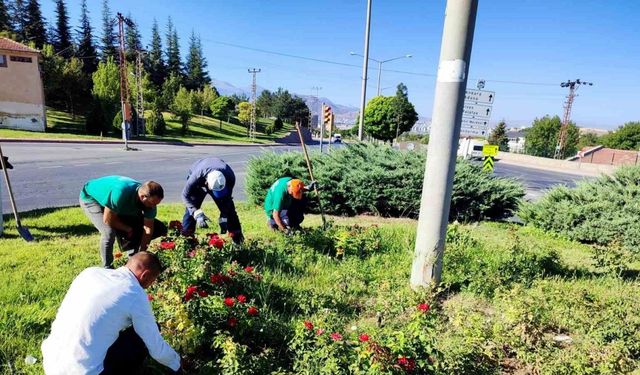 Büyükşehir, yabancı otlarla mücadele ve bakım çalışmalarına hız verdi