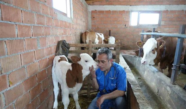 Kastamonu'da Hemşirelikten Veterinerliğe Uzanan İlginç Bir Kariyer Yolu