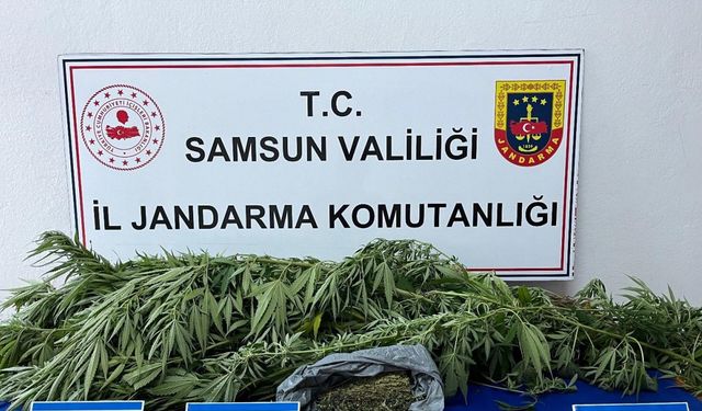 Jandarma ekiplerince uyuşturucu madde ele geçirildi