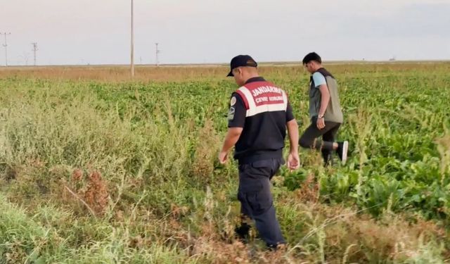 Kaçak avcılar jandarmanın ağına takıldı