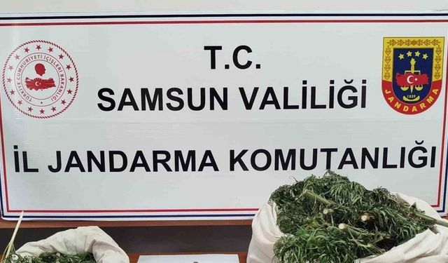 Samsun’da Jandarma 10 kilo kubar esrar ele geçirdi