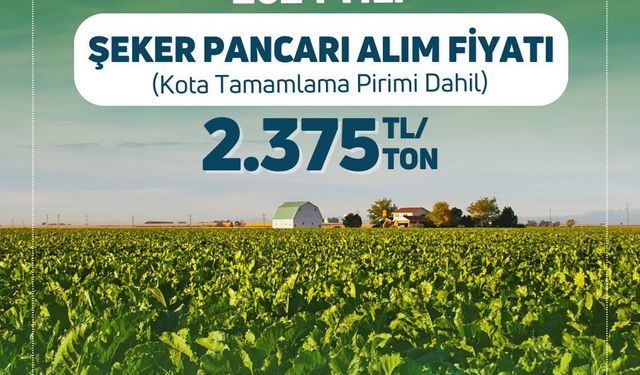 2024 Şeker Pancarı Alım Fiyatı Belli Oldu! İşte Türkşeker’in Yeni Fiyatı