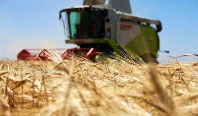 Tarım başkenti Konya, 11 üründe üretim miktarı olarak Türkiye’de birinci