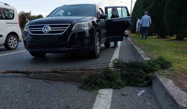 Yaralamalı kaza sonrası yola konulan dal zincirleme kazaya neden oldu