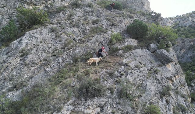 Çorum'da kayalıklarda mahsur kalan köpek böyle kurtarıldı