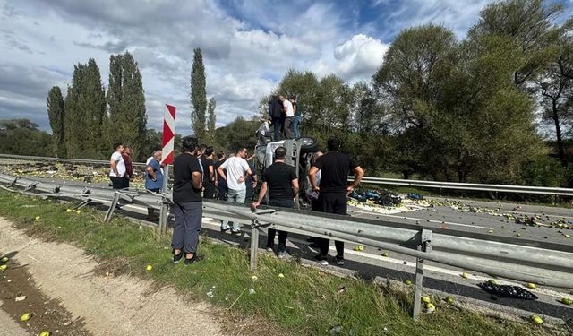 Elma yüklü kamyonet devrildi, yola saçılan elmaları vatandaşlar toplandı