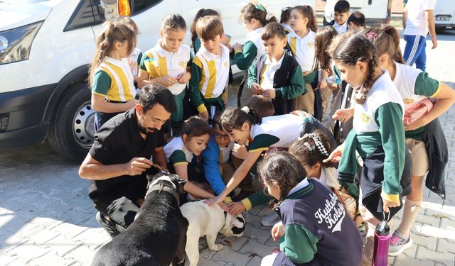 Amasya'da öğrencilerden hayvan barınağına ziyaret