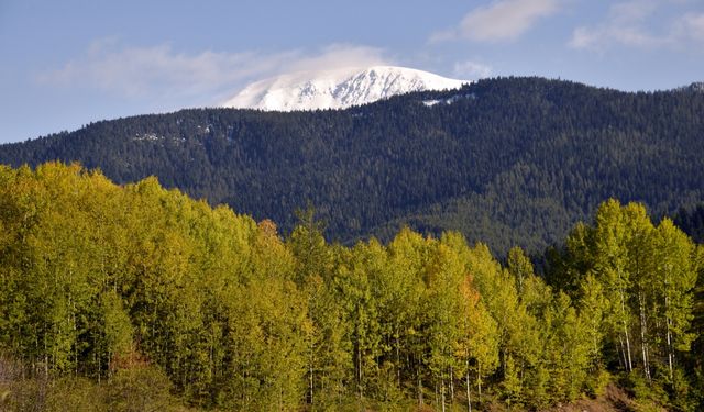 "Anadolu'nun yüce dağı" Ilgaz'da kış ve sonbahar aynı anda yaşanıyor