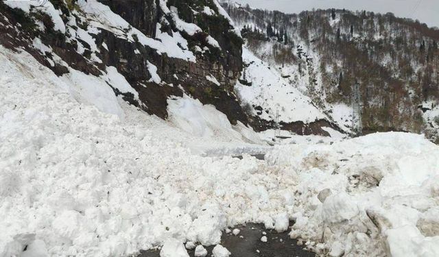 Artvin'de çığ nedeniyle 6 köy yolu ulaşıma kapandı