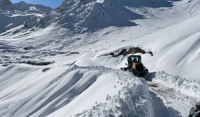 Artvin'de kar nedeniyle yaylada mahsur kalan 5 kişi kurtarıldı