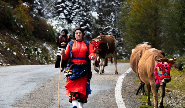 Doğu Karadeniz'de kar yağışı yaylalardan dönüşü hızlandırdı