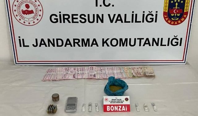 Giresun'da uyuşturucu operasyonunda bir kişi tutuklandı