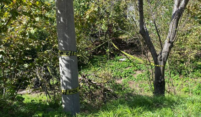 GÜNCELLEME - Zonguldak'ta domuz sanılarak vurulan kadın öldü