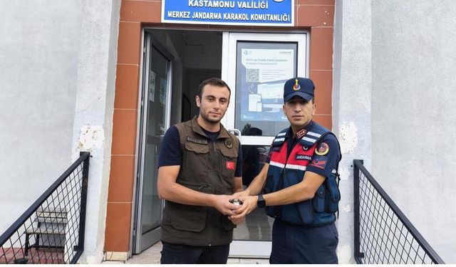 Kastamonu'da tedavileri tamamlanan kuşlar doğaya salındı