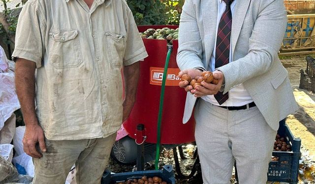 Pazar'da ceviz soyma makineleri üreticilerin işlerini kolaylaştırıyor